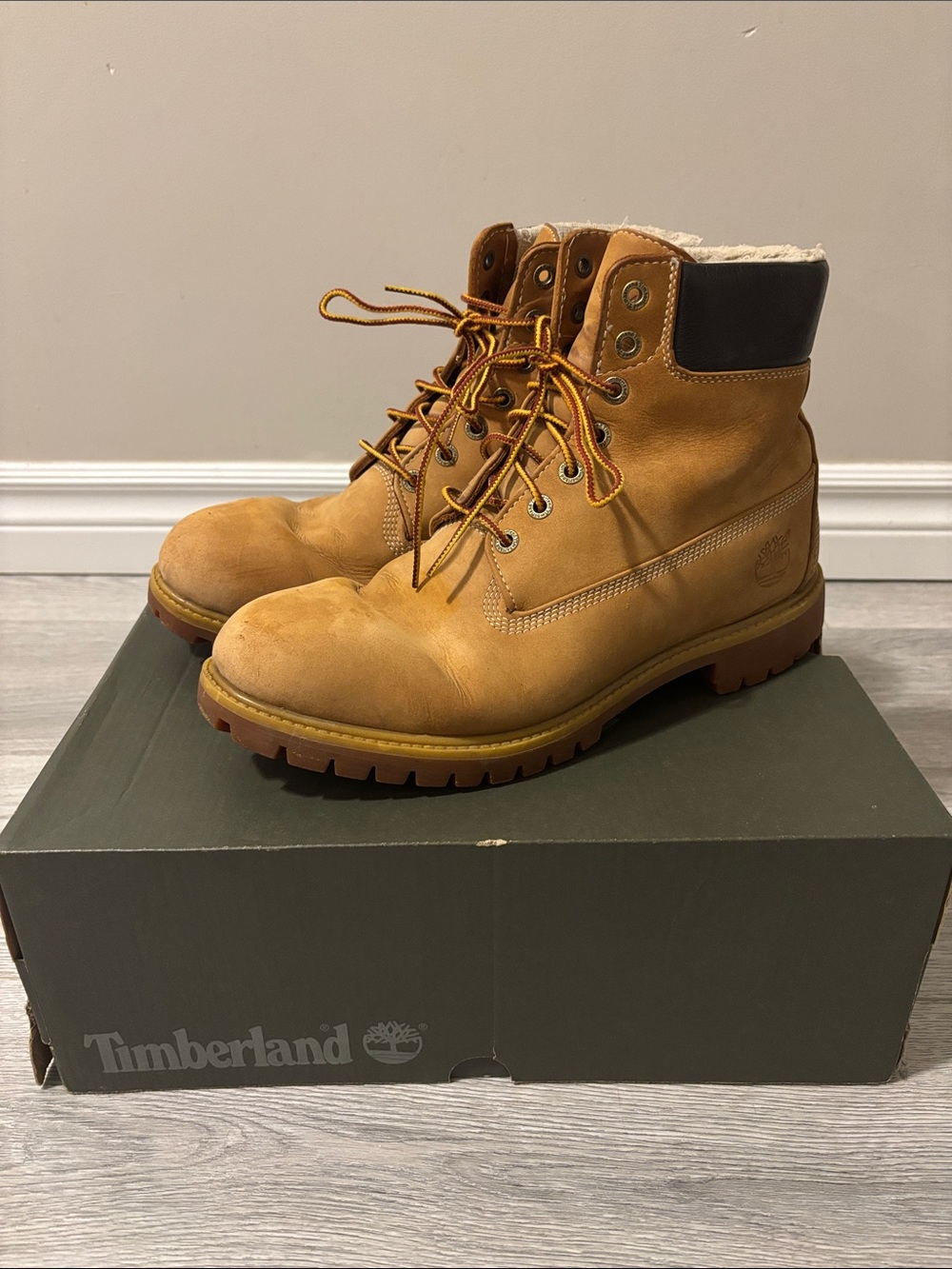 Men's Timberland® Premium 6-Inch Waterproof Boot